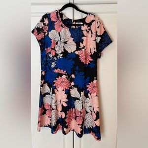 Eliza J Fit & Flare Dress